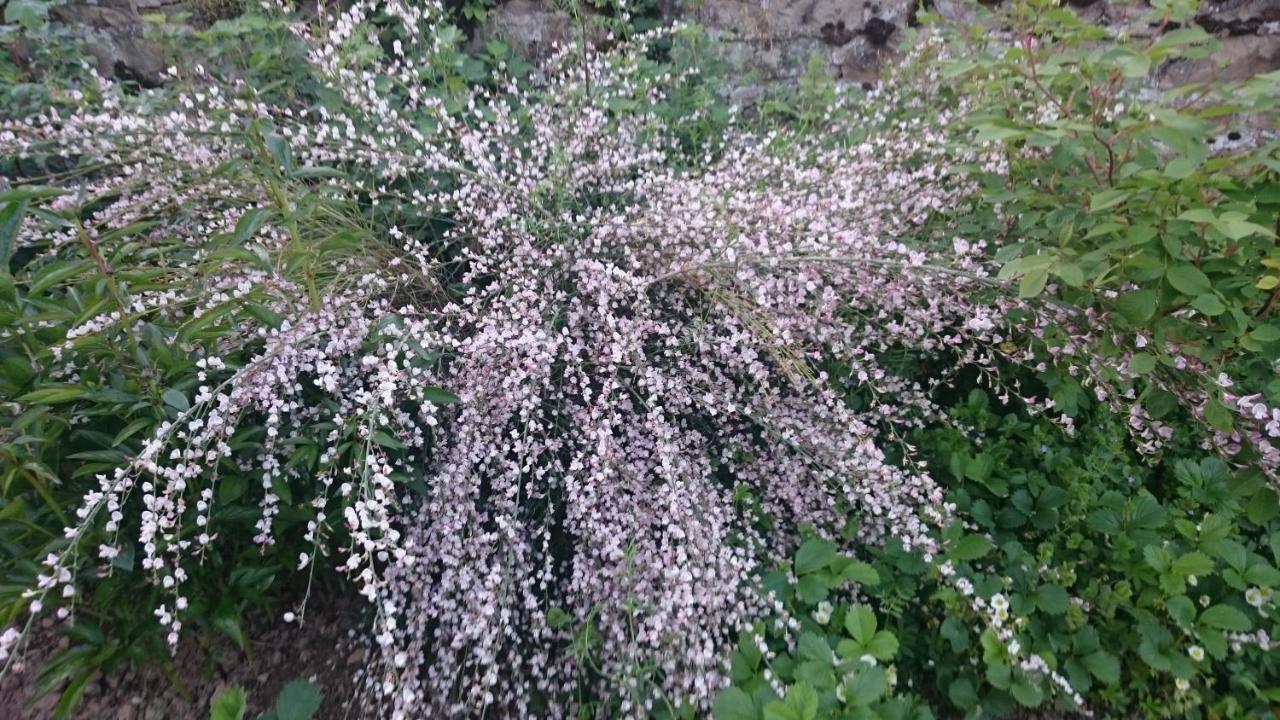 Le Manoir Sur La Roche, 74, Impasse Du Manoir, 71520 Navour Sur Grosne D121 Panzió Clermain Kültér fotó